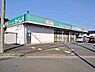 周辺：【ドラッグストア】ドラッグセイムス　伊奈中央店まで310ｍ