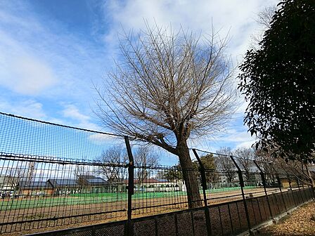 上鳥羽公園(1050m)
