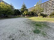 中山中央公園（855m）