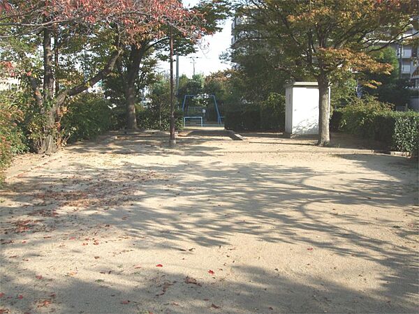周辺を拡大表示