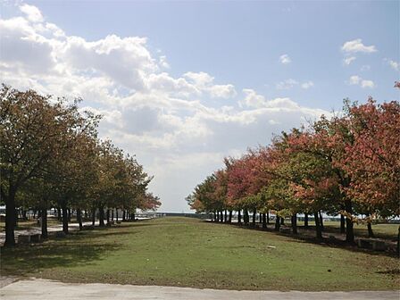 近隣の公園(417m)