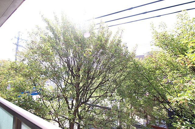 別室の参考写真です。※現況優先