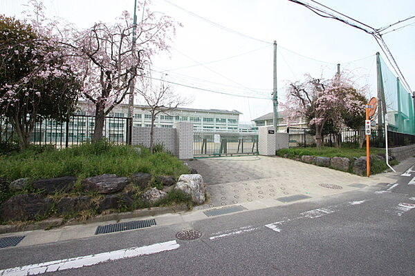 画像11:名古屋市立守山中学校