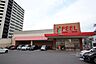 周辺：フィール 花の木店