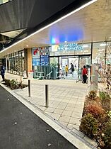 シーズンフラッツ阿波座  ｜ 大阪府大阪市西区立売堀5丁目（賃貸マンション1LDK・11階・34.20㎡） その26