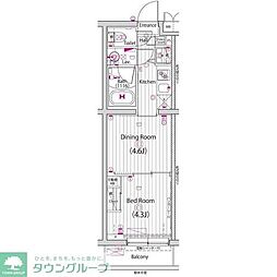 ガーラヴィスタ新板橋 1DKの間取図画像