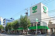 サミットストア鷺宮店 837m