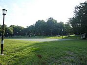 芦花公園 1100m