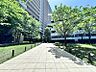 その他：【プライベートガーデン】敷地内は緑に囲まれており、お子さまとの散策やちょっとした気分転換にも嬉しい環境です。