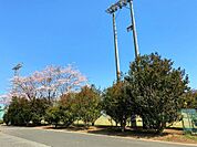 元石川市民運動場は住民の方のお散歩場所にもなっています