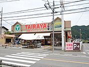 タイラヤ　363ｍ