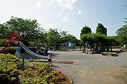 荒川自然公園[50m]