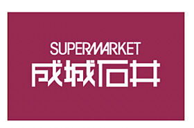 大阪府大阪市東淀川区東中島1丁目（賃貸マンション1LDK・11階・33.35㎡） その28