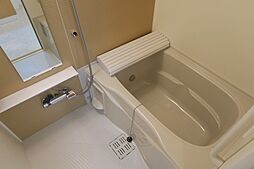 同型タイプ