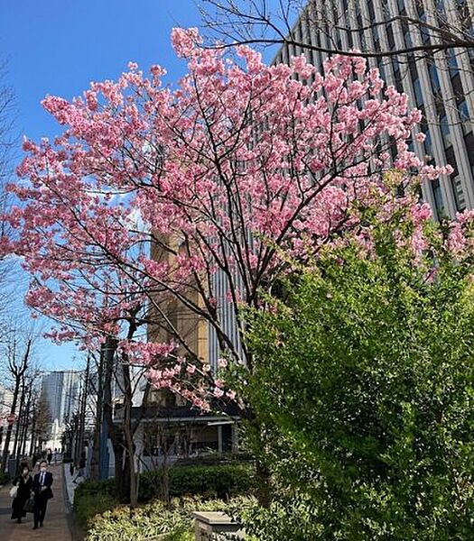 レフィール銀座フロント ｜東京都中央区築地4丁目(賃貸マンション1K・2階・24.86㎡)の写真 その27