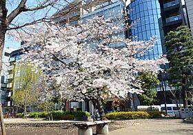 ハーモニーレジデンス水天宮前  ｜ 東京都中央区日本橋箱崎町19-28（賃貸マンション1LDK・4階・45.91㎡） その28