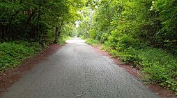 南都留郡鳴沢村