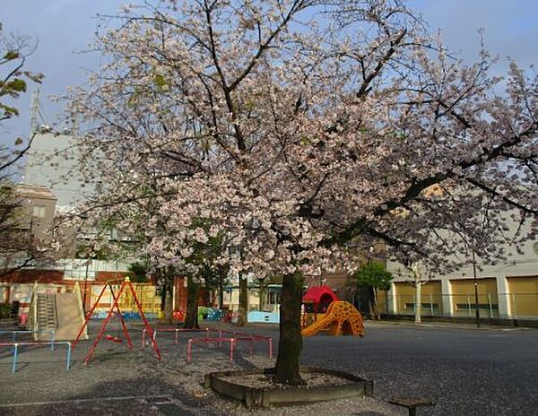 ロイジェント菊川 ｜東京都墨田区菊川2丁目(賃貸マンション1LDK・10階・40.54㎡)の写真 その29