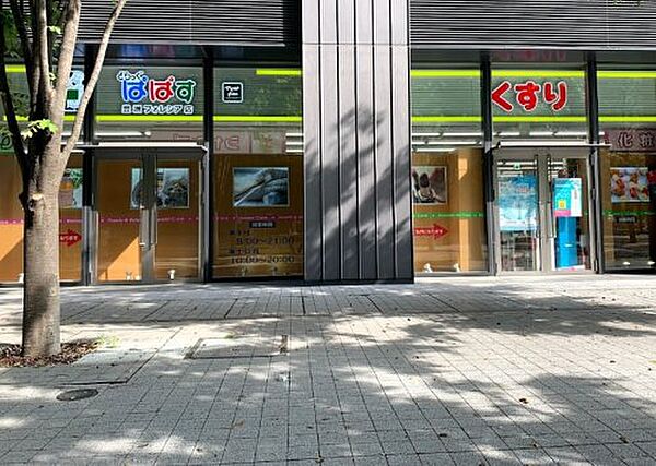 画像23:【ドラッグストア】どらっぐぱぱす 豊洲フォレシア店まで243ｍ