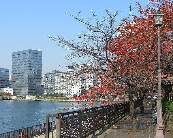 パークフラッツ銀座イースト ｜東京都中央区湊3丁目(賃貸マンション1R・6階・46.24㎡)の写真 その19