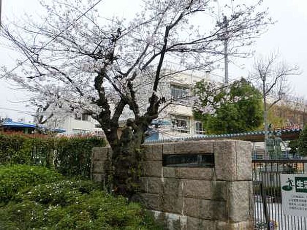 広島県広島市中区舟入中町(賃貸マンション1LDK・3階・35.00㎡)の写真 その19