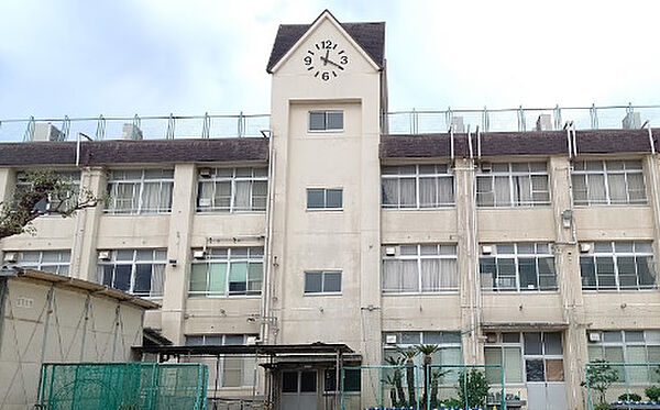 画像30:【小学校】大阪市立神路小学校まで729ｍ