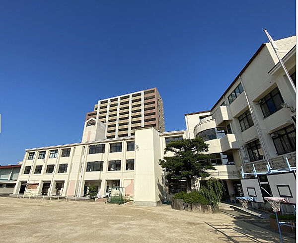 画像22:【小学校】大阪市立中道小学校まで187ｍ