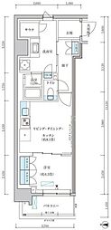 パークアクシス池袋イースト 1LDKの間取図画像