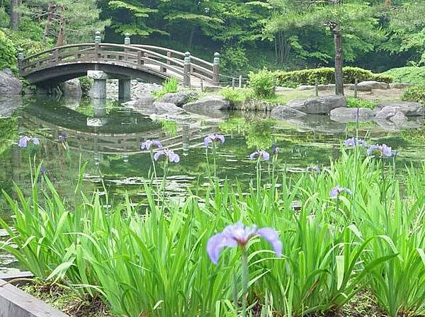 画像7:栃木県中央公園（686m）
