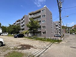 ロピア石山通