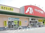 その他「クスリのアオキまで900m」