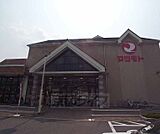 スーパーマツモト 馬堀店まで300m 毎日安くて新鮮な食品が手に入ります。品揃えも自慢。