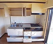 棚です