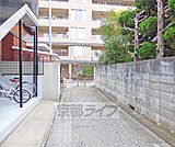 目の前の道路です。