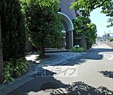 マンション前の道路です