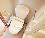 きれいです