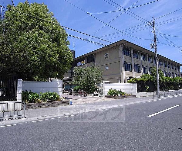 画像28:松尾中学校まで960m 桂川沿いの大きな中学校です。