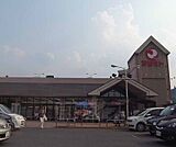 マツモト 荒塚店まで600m 新鮮な食材が手に入ります。