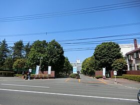 20CP実施中アークコート澄川 201 ｜ 北海道札幌市南区澄川四条4丁目2-25（賃貸アパート1DK・2階・21.45㎡） その26