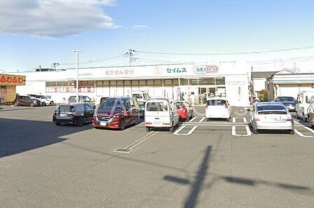 ドラッグセイムス見沼風渡野店 徒歩10分。 750m