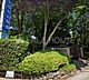 周辺：小百合幼稚園 徒歩11分。 880m