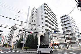 ルミエール八尾駅前  ｜ 大阪府八尾市光町1丁目（賃貸マンション1K・8階・27.75㎡） その1