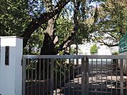 豊島区立要小学校 826m