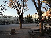 板橋第十小学校 360m