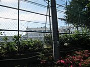 上板橋第二中学校 277m