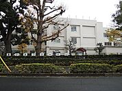 練馬区立開進第一小学校 706m