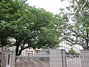 西台中学校 310m