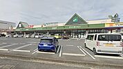 ニシナフードバスケット中島店　600ｍ