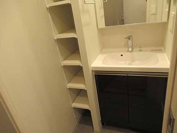 画像2:広い洗面スペース