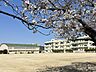 周辺：大池小学校 920m